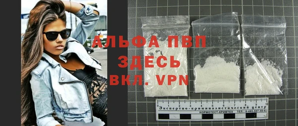 индика Богородск